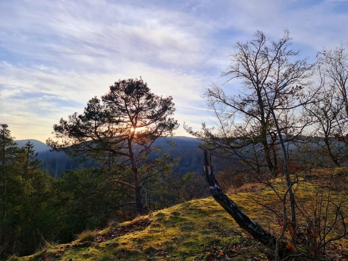 Ferienhaus Schoene Aussicht Ferienwohnung Blau Hemfurth-Edersee エクステリア 写真